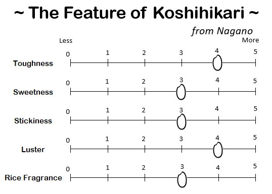 KOSHIHIKARI from NAGANO -長野大町 こしひかり 2024 Crop
