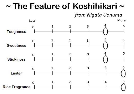 KOSHIHIKARI from NIIGATA-新潟魚沼 こしひかり 2024 Crop
