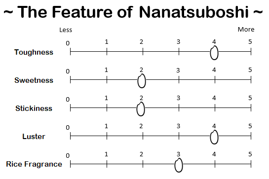 NANATSUBOSHI from HOKKAIDO - 北海道 ななつぼし 2024 Crop