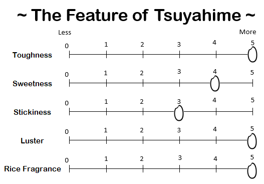 TSUYAHIME from YAMAGATA - 山形 つや姫 2024 Crop