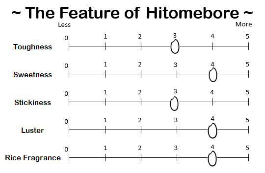 HITOMEBORE from MIYAGI - 宮城 ひとめぼれ 2024 Crop