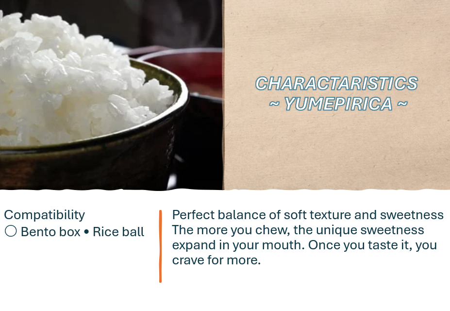 RICE TRIAL SET - 3銘柄 お試しセット (6㎏)-