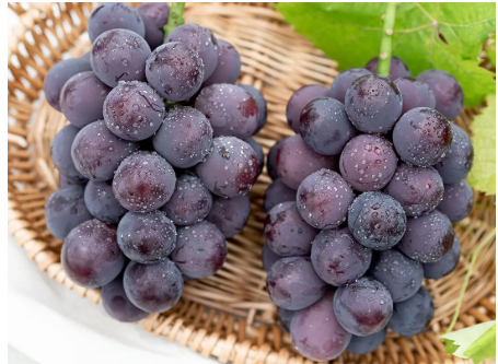 Grape -ぶどう