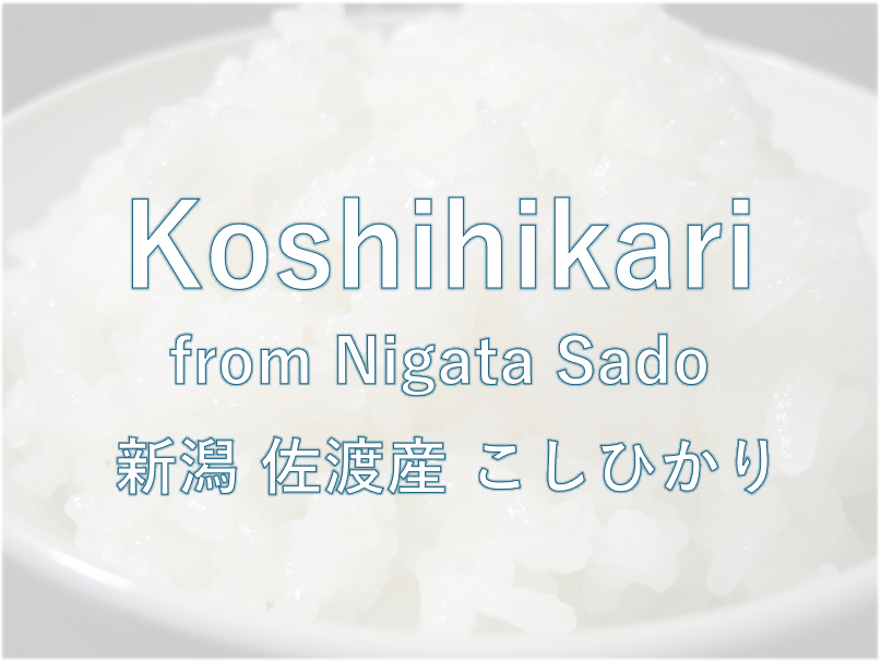 KOSHIHIKARI from NIIGATA(SADO ISLAND)-新潟佐渡 こしひかり 2024年産