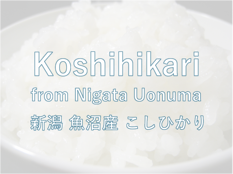 KOSHIHIKARI from NIIGATA-新潟魚沼 こしひかり 2024 Crop