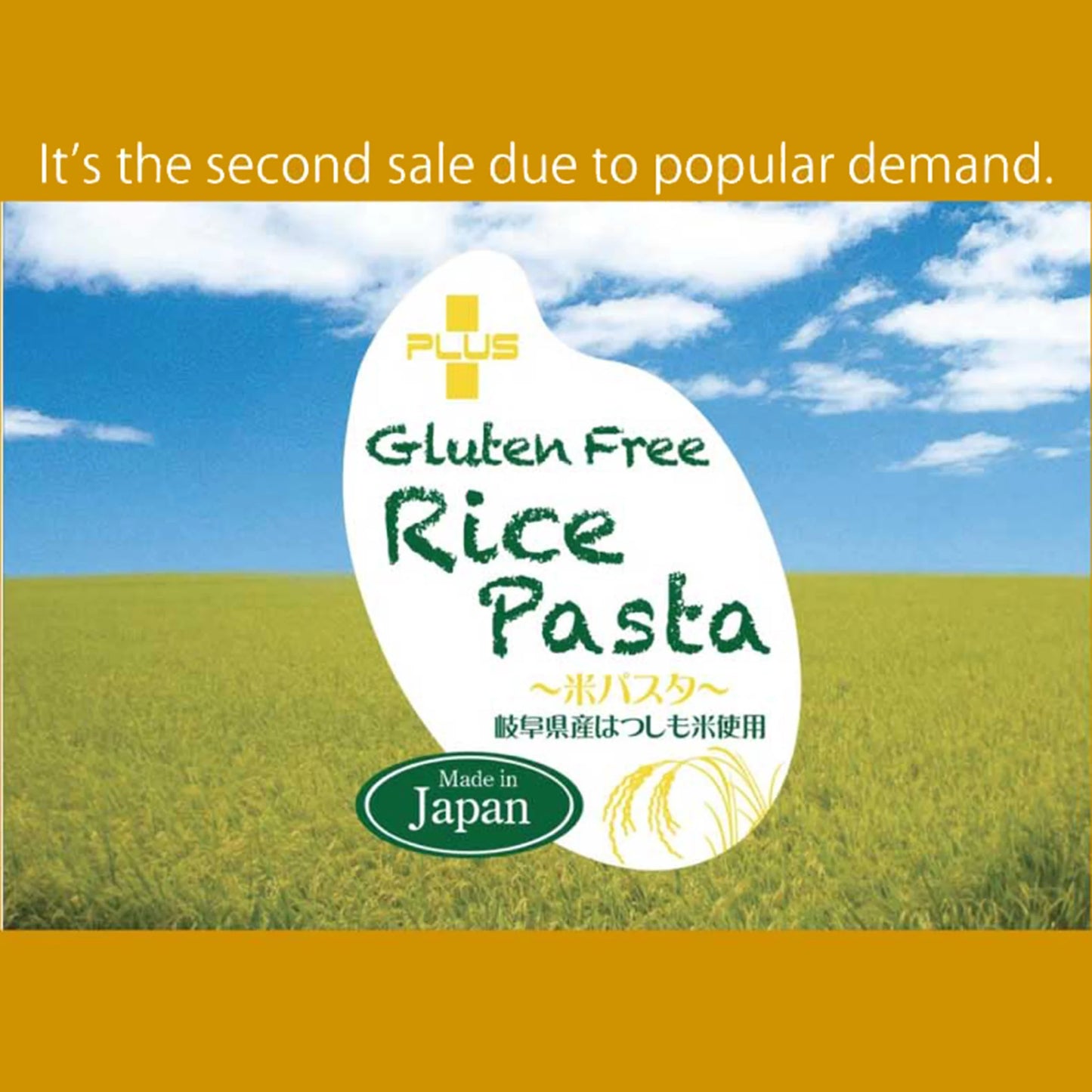 BROWN RICE PASTA "Fusilli" - 玄米パスタ フジッリ 130g