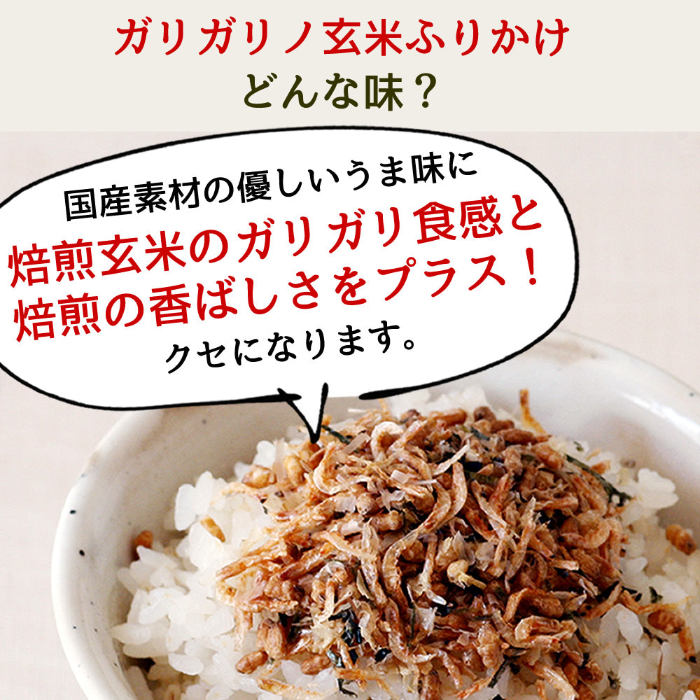 GARIGARI BROWN RICE FURIKAKE - ガリガリノ玄米フリカケ 20g