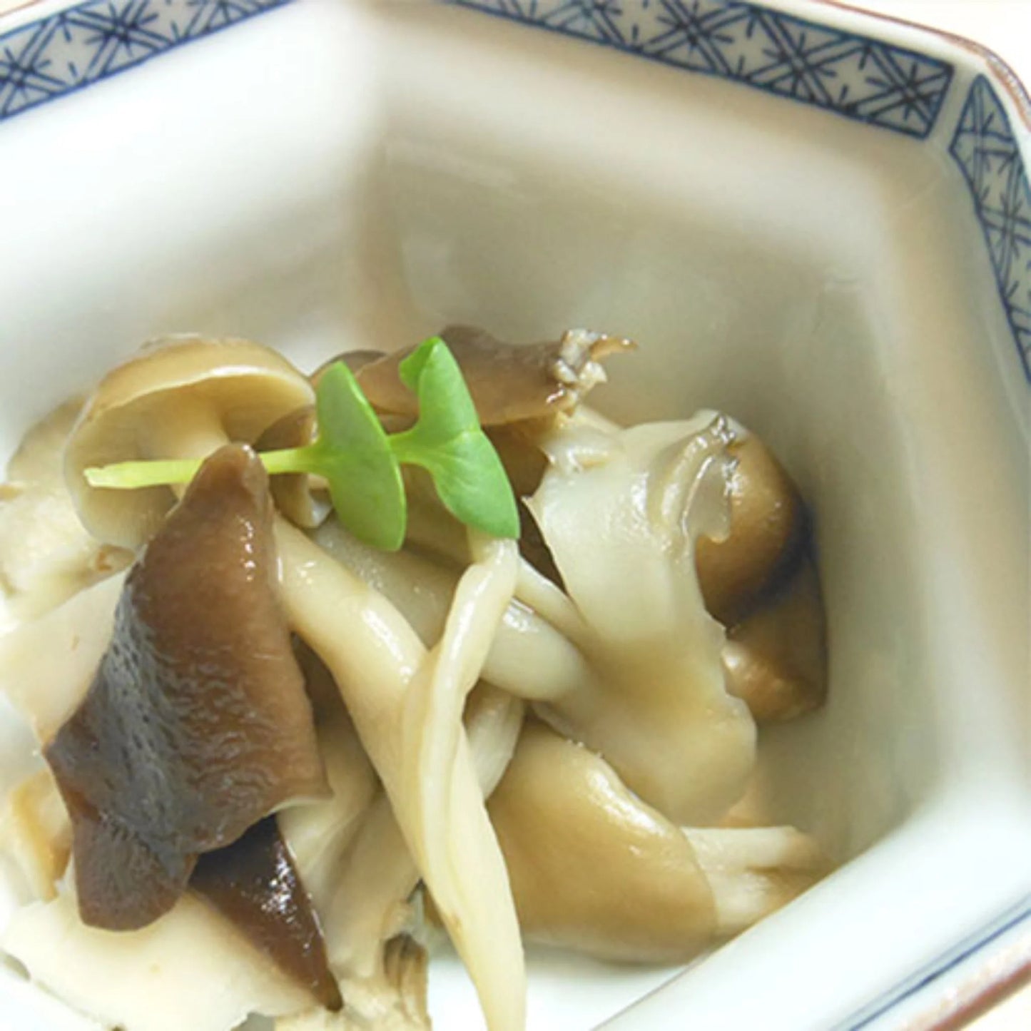 LIQUID FOR MAKING LIGHTLY PICKLED VEGETABLES -浅漬けの素 10g x 10pc