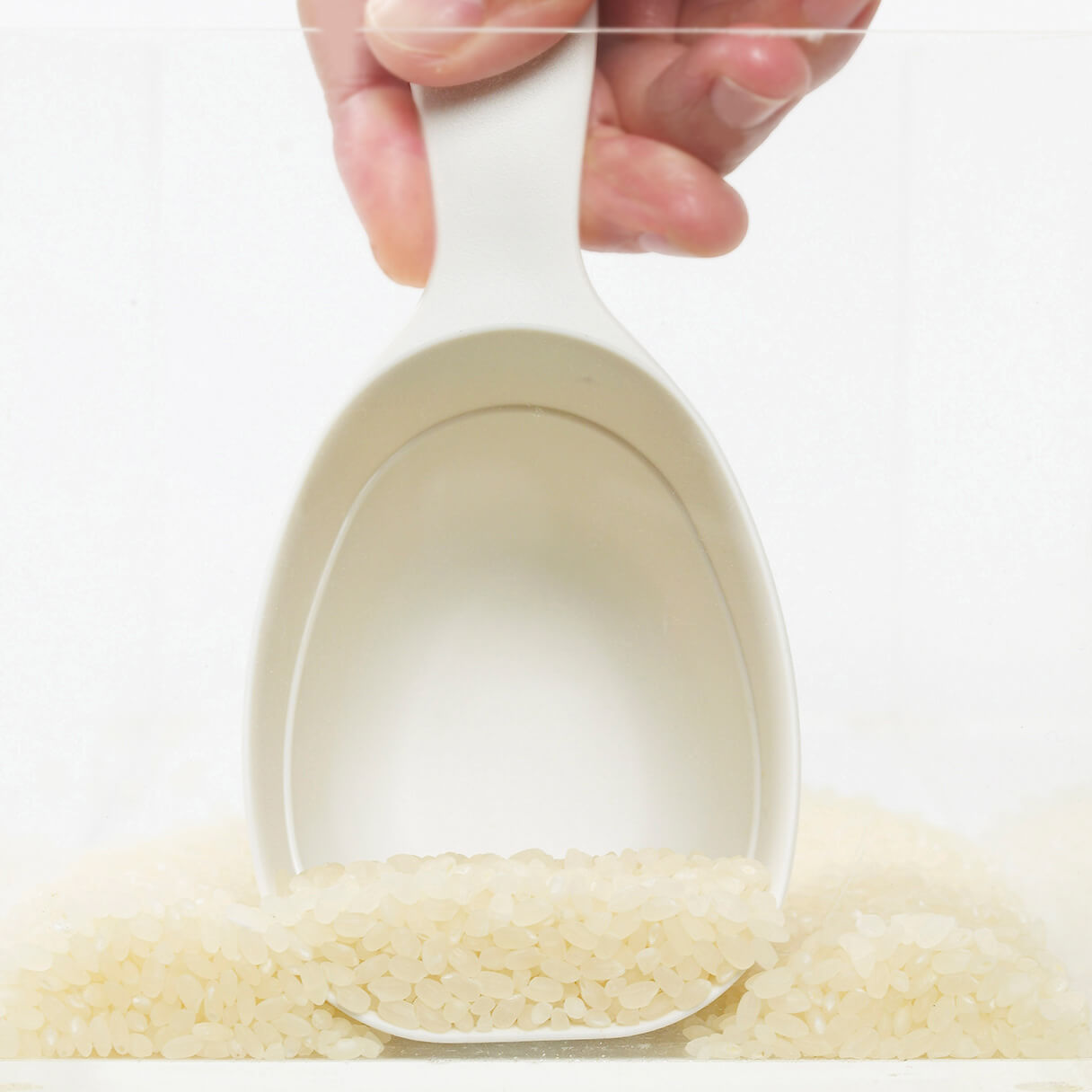 RICE MEASURING CUP - 極 お米計量カップ