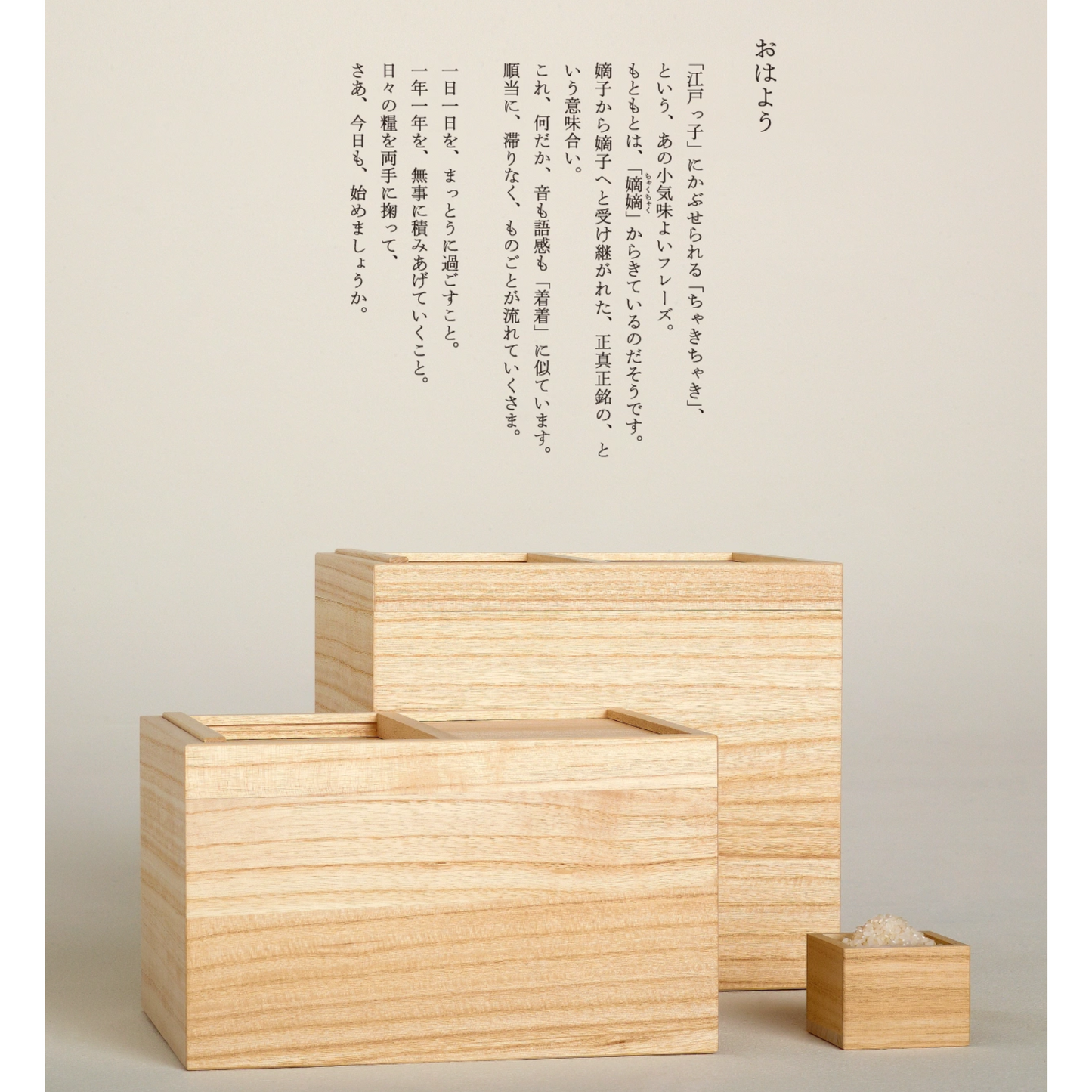 RICE BIN made of PAULOWNIA WOOD 5㎏ - 桐製 米櫃 5kg