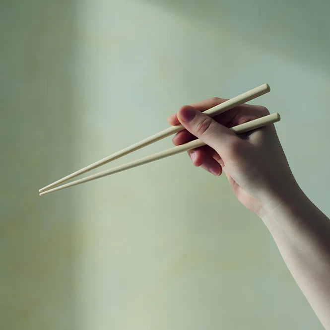 CHOPSTICK made from CELLULOSE FIBER - 自然素材の箸