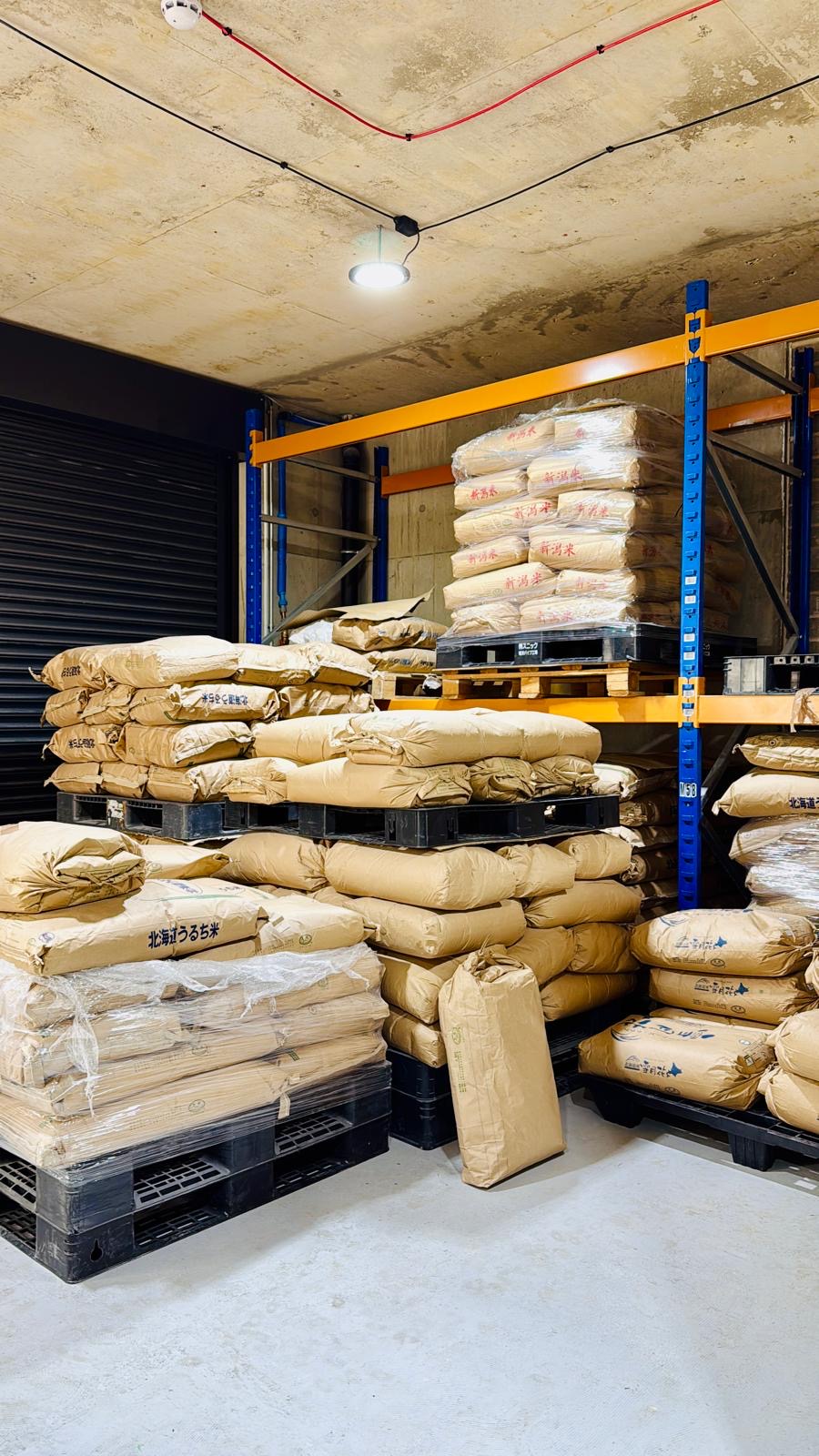 Happy to meet you again