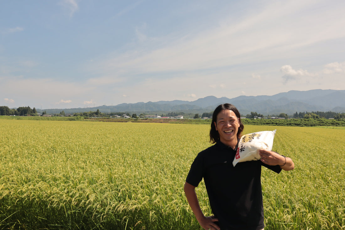 Niigata Koshihikari