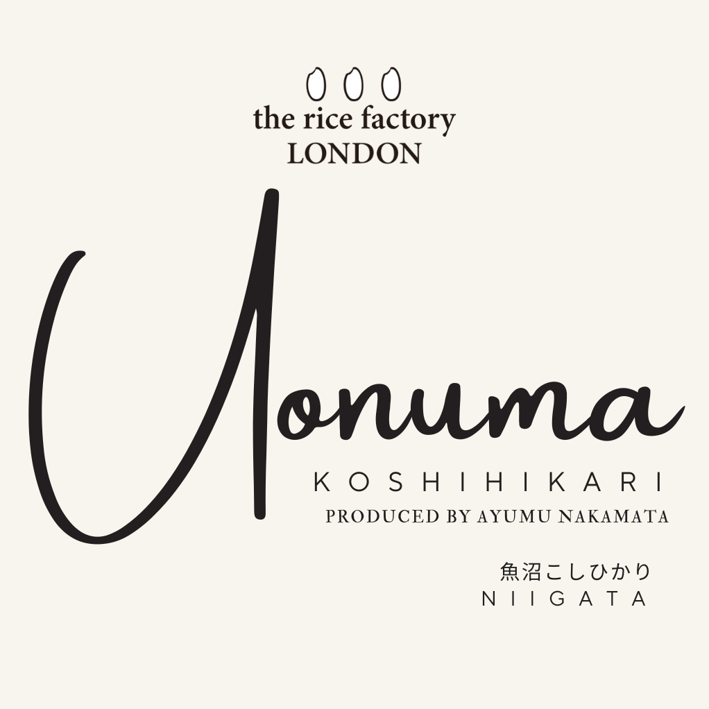 KOSHIHIKARI from NIIGATA-新潟魚沼 こしひかり 2024 Crop