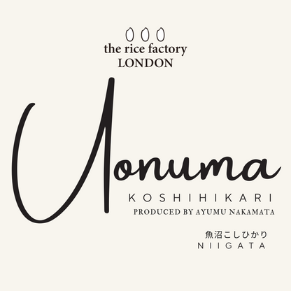 KOSHIHIKARI from NIIGATA-新潟魚沼 こしひかり 2024 Crop