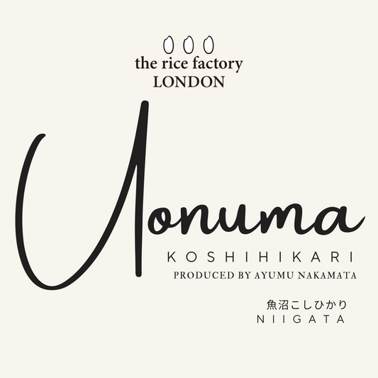 KOSHIHIKARI from NIIGATA-新潟魚沼 こしひかり 2024 Crop