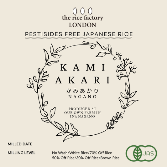 KAMIAKARI from NAGANO - 長野 カミアカリ 2025年産※玄米食用