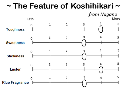 KOSHIHIKARI from NAGANO -長野大町 こしひかり 2024 Crop