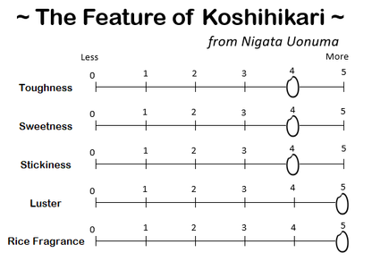 KOSHIHIKARI from NIIGATA-新潟魚沼 こしひかり 2024 Crop