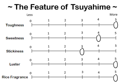 TSUYAHIME from YAMAGATA - 山形 つや姫 2024 Crop