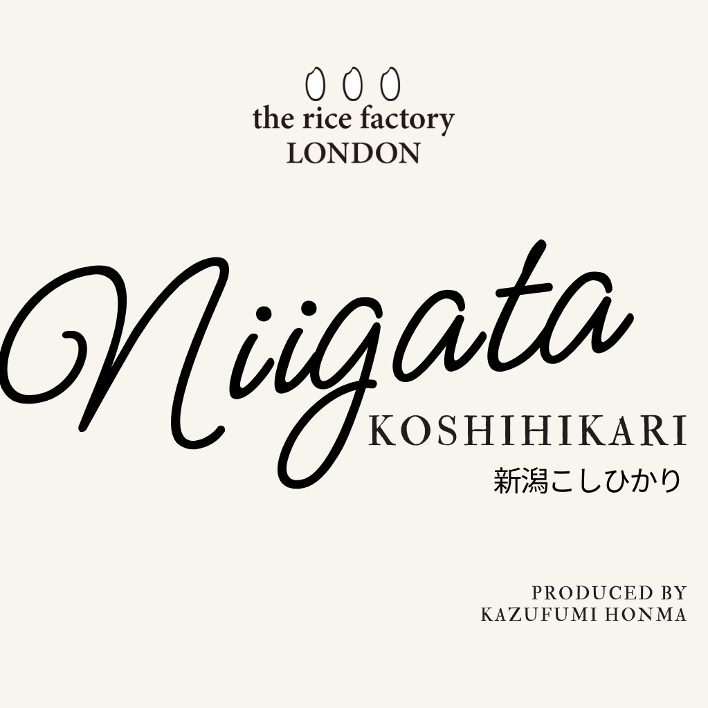 KOSHIHIKARI from NIIGATA-新潟 こしひかり 2025 Crop