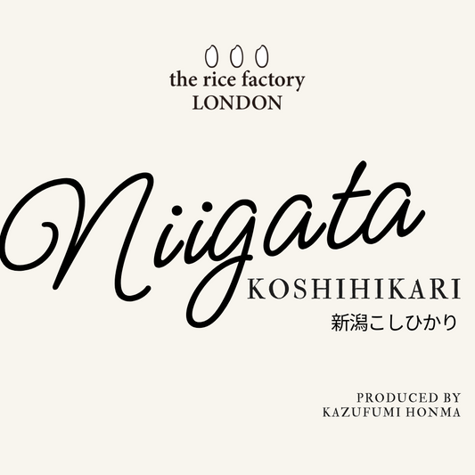 KOSHIHIKARI from NIIGATA-新潟 こしひかり 2025 Crop