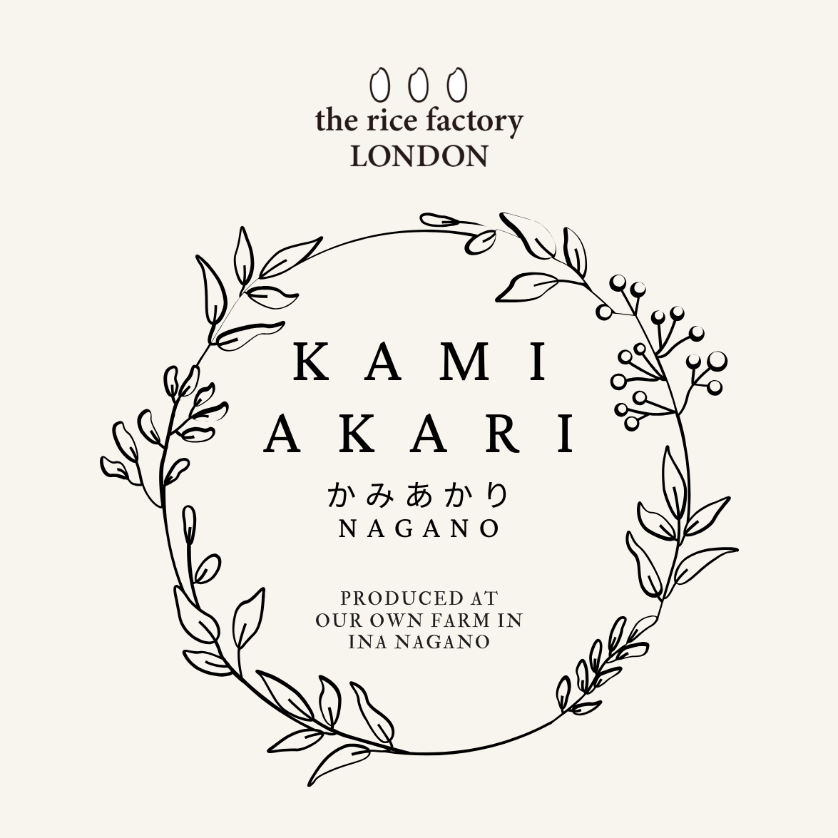 KAMIAKARI from NAGANO - 長野 カミアカリ 2025 Crop ※Only Brown