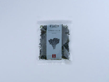 DRIED SPINACH - 乾燥野菜 ほうれん草 40g