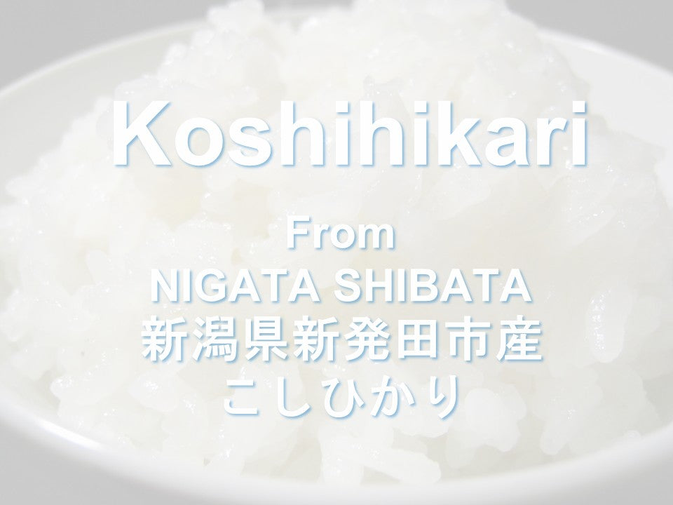 KOSHIHIKARI from NIIGATA-新潟 こしひかり 2025 Crop