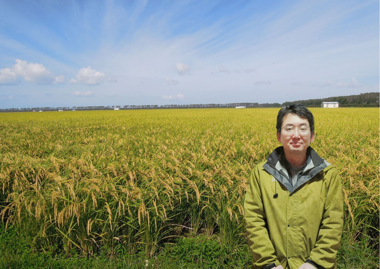 KOSHIHIKARI from NIIGATA-新潟魚沼 こしひかり 2025 Crop
