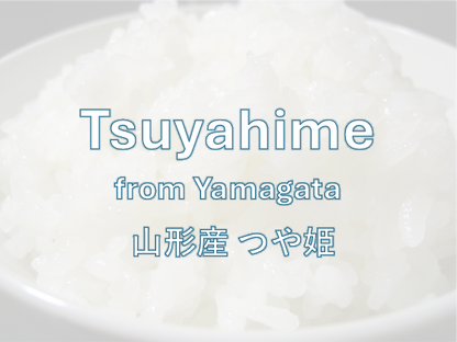 TSUYAHIME from YAMAGATA - 山形 つや姫 2024 Crop