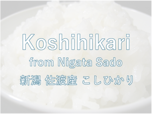 KOSHIHIKARI from NIIGATA(SADO ISLAND)-新潟佐渡 こしひかり 2024 Crop