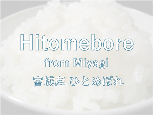 HITOMEBORE from MIYAGI - 宮城 ひとめぼれ 2024 Crop
