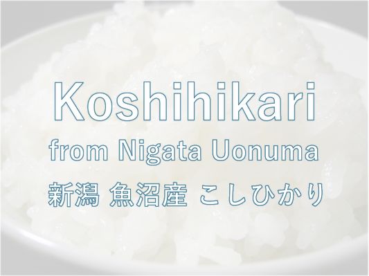 KOSHIHIKARI from NIIGATA-新潟魚沼 こしひかり 2024 Crop
