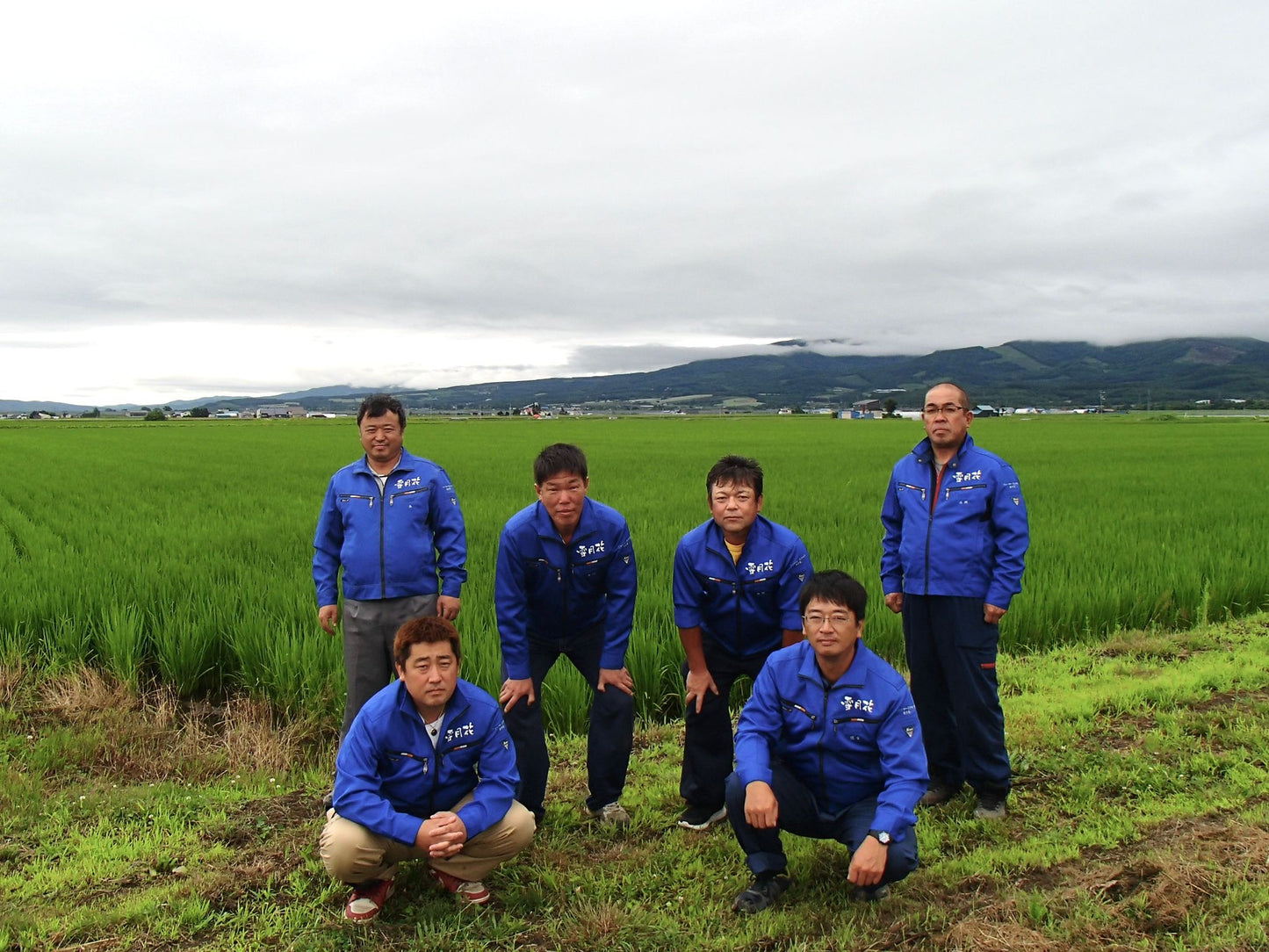 YUMEPIRIKA(Pesticide-free) from HOKKAIDO -北海道 ゆめぴりか(農薬不使用) 2025 Crop