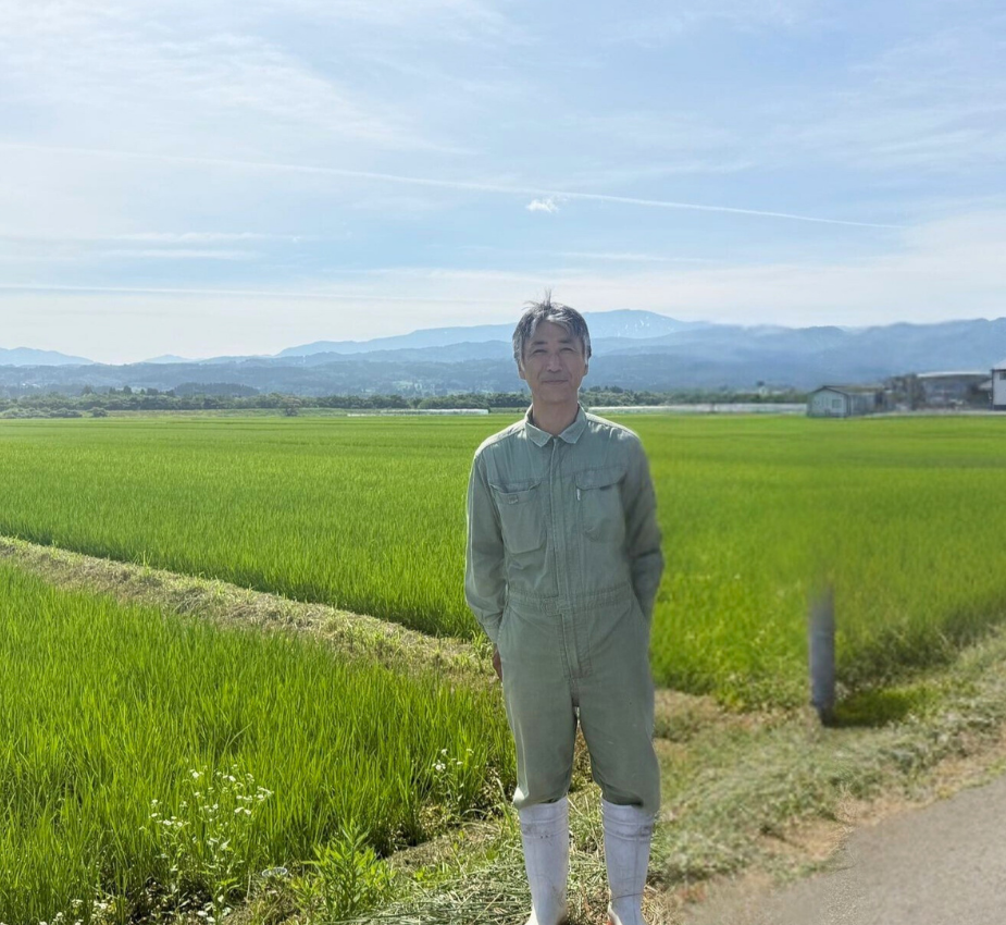 TSUYAHIME from YAMAGATA - 山形 つや姫 2025 Crop