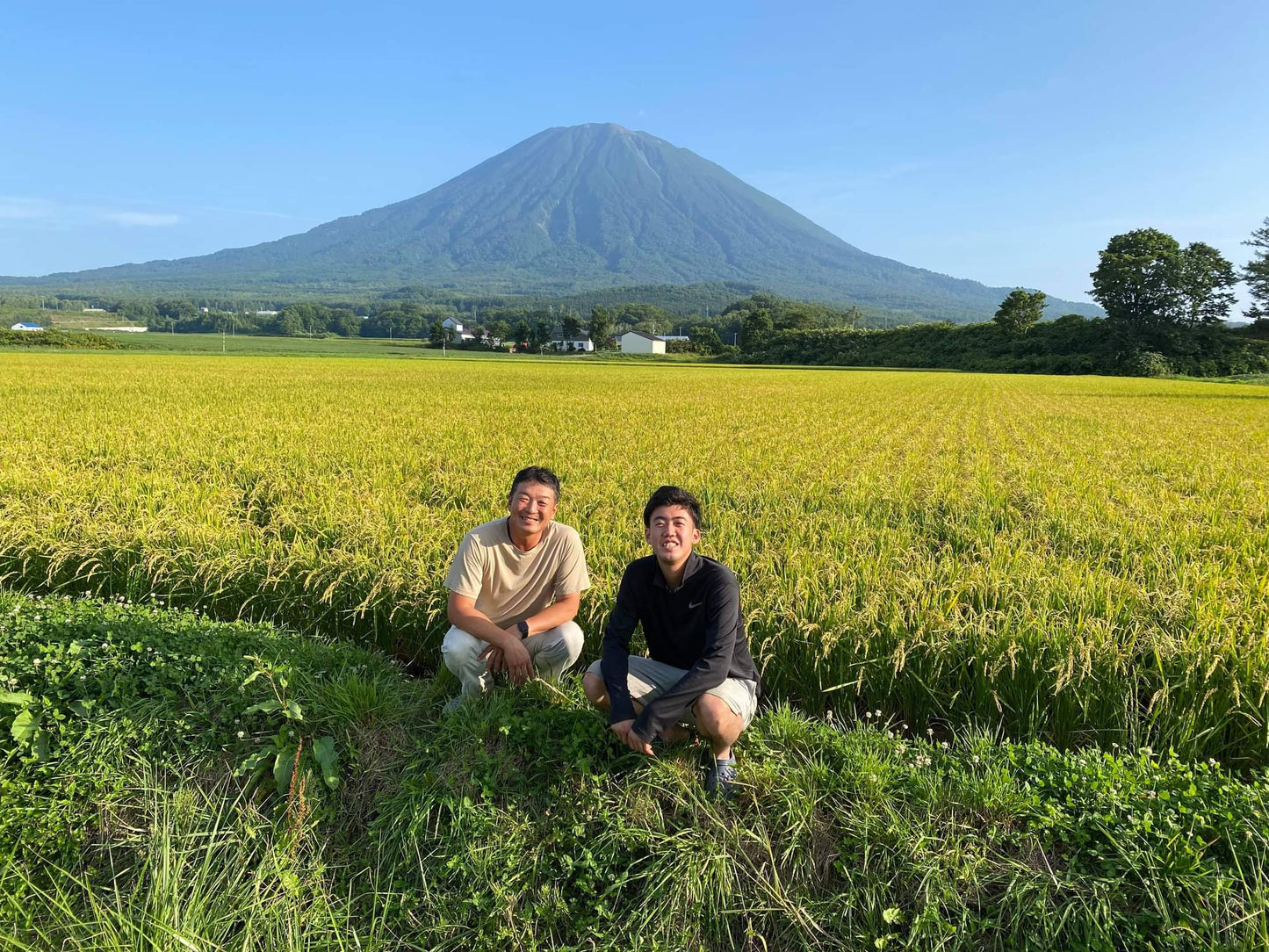 NANATSUBOSHI from HOKKAIDO - 北海道 ななつぼし 2025年産