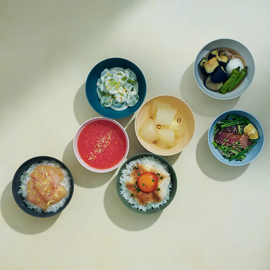 BOWL made from CELLULOSE FIBER (M size) - 自然素材のお椀　Mｻｲｽﾞ