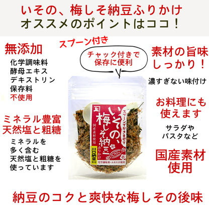 ISONO UMESHISO NATTO FURIKAKE - ｲｿﾉ､梅しそ納豆ﾌﾘｶｹ 20g