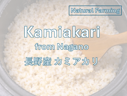 KAMIAKARI from NAGANO - 長野 カミアカリ 2024 Crop ※Only Brown