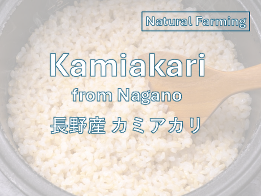 KAMIAKARI from NAGANO - 長野 カミアカリ 2024 Crop ※Only Brown